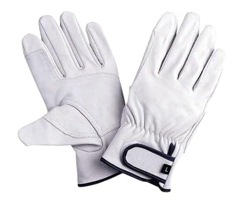 쐼H CW[ AecL 1P MTCY