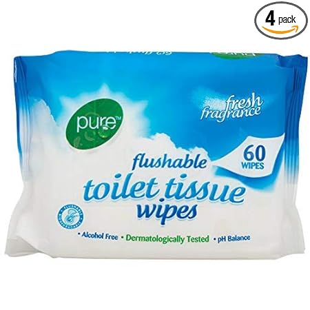 Pure Flushable Toilet Wipes Pack of 4 60's