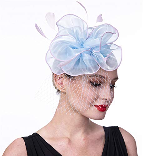 Fascinators Hat 20S 50S Hat Pillbox Hat Cocktail Tea Party Headwear Suitable For Girls And Ladies(Fm02-Light Blue Pink) #TOP5
