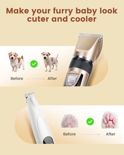 PAPMINI 2 in 1 Hundeschermaschine, Extra Leise Hundepfoten Trimmer mit LED-Licht, Professionelle Schermaschine Hund & Pfotentrimmer, Type-C Fellschere für kleine und große Hunde, Katzen