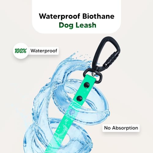 Image of Adil's Biothane Waterproof Dog Collar, Dog Leash & Collar Leash Combo | Heavy Duty TPU Coated Webbing | Adjustable Quick Release Buckle | Odour Resistant (Forest Green, L-22, Leash Only)