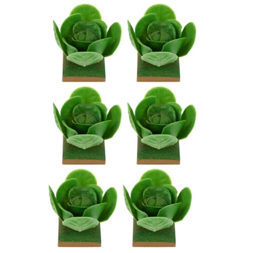 CHICAMPERA �͌^�L���x�c �͑���؃��f�� �~�j�`���A���i�p�f�X�N�g�b�v���� �����m�� DIY�}�C�N�������h�X�P�[�v�p 6�Z�b�g