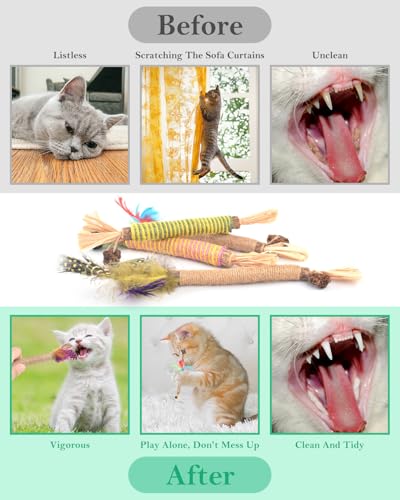 ERKOON 4 Stück Katzenminze Spielzeug, Kausticks für Katzen, Cats Dental Care Spielzeug, Chew Stick Help with Tartar & Bad Breath Healthy Hygiene