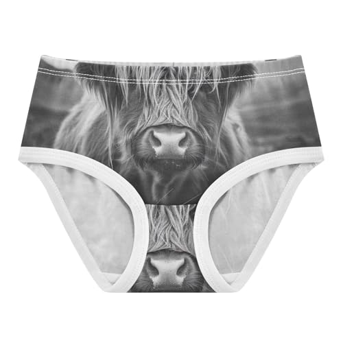 Toddler Panties, Highland Cow Wild Cotton Girls Underwear, 2T–8 Years