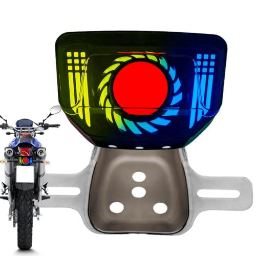 Luces traseras de motocicleta LED universales con luz de freno y bombillas de señal