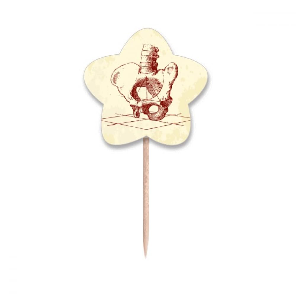 Drapeaux étoile squelette humain pour décoration cupcake et étiquette de buffet