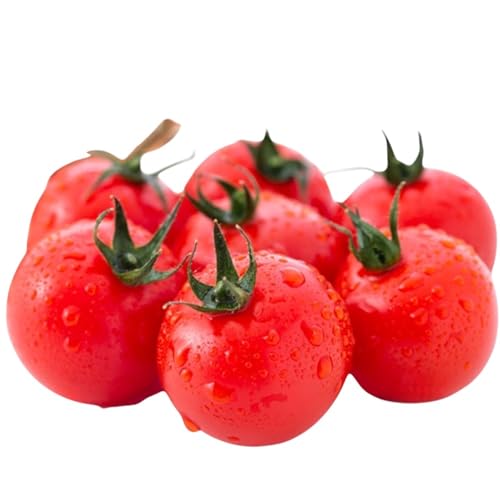 北海道 有機JAS認定 ミニトマト ダルタリー 150g×8パック 7月中旬〜9月上旬頃にお届け 有機栽培 新鮮 旬 野菜 安心 安全 完熟 高糖度 濃厚 トマト 佐伯農園 洞爺湖