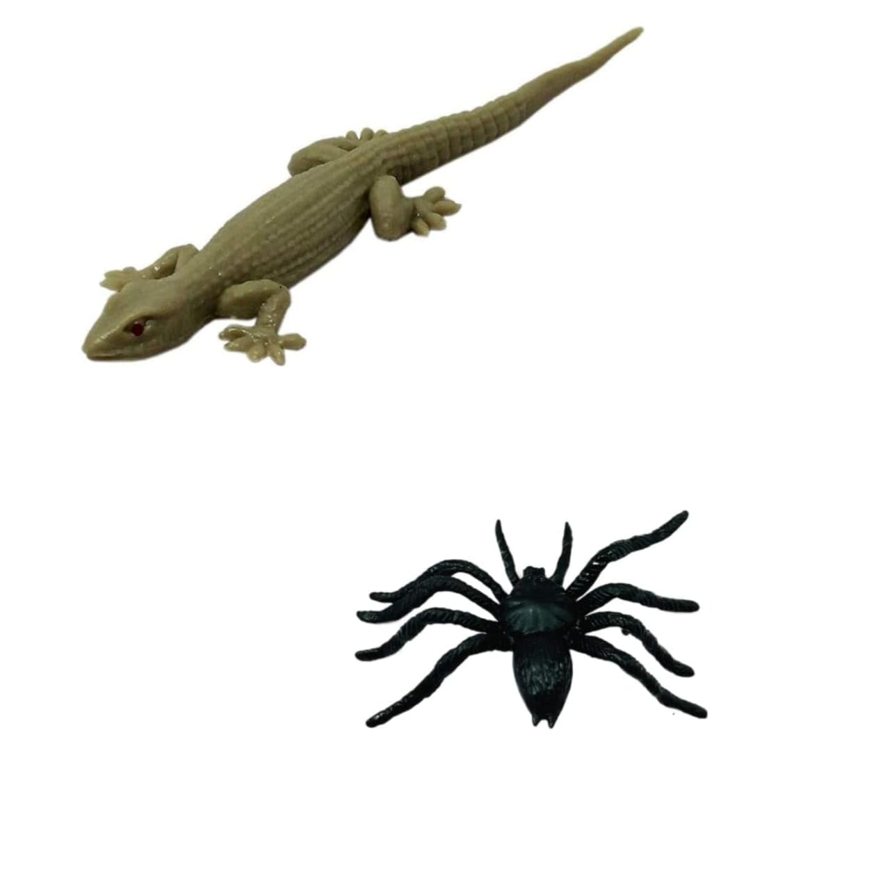 TOYSFAST Combo: Spider/Makadi and Brown Lizard Real Looking Chipkali | Black Spider Fake Insect Model for Project (A318)