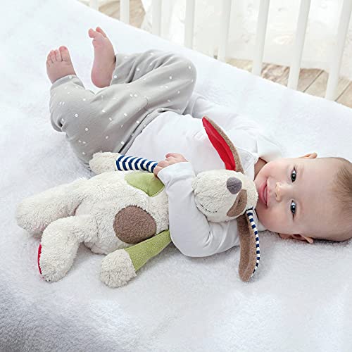 SIGIKID 38764 Kuscheltier Hund Green Mädchen und Jungen Babyspielzeug empfohlen ab Geburt mehrfarbig – Bild 3
