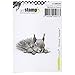 Produktbild Carabelle Studio SMI0207 Cling Stamp Art, Stempel Set, Eichhörnchen: Überraschung, für Papierbasteln, Stempelprojekte, Kartengestaltung und Scrapbooking, Durchsichtig