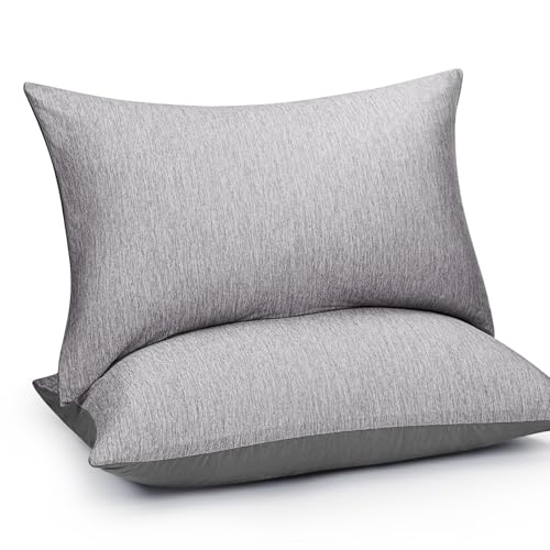 HOMFINE Cooling Pillowcases Queen Size - Double Side Q-Max 0.439 Cooling Fiber for Pillow Protector, Breathable Cold Pillow Cover for Hot Sleeper Night Sweat, Hidden Zipper, 2 Pack (20