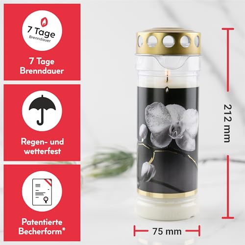 6er Set HOFER GRABKERZEN 7 Tage Brenndauer - Das Original [Gold Select] regenfest | Kerzen mit Deckel | Grablicht, Friedhofskerze mit Motiv | Kerzen für Grabdeko