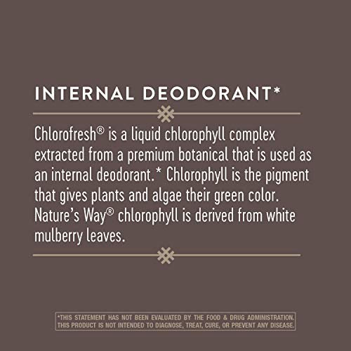 Nature’s Way Chlorofresh Chlorophyllin Drops, Supports Detoxification Pathways*, Liquid Chlorophyllin Copper Complex, Supports Healthy Skin*, Internal Deodorant*, Mint Flavored, 2 Fl Oz. #TOP6