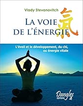 Download Voie de l'énergie : développement du chi PDF