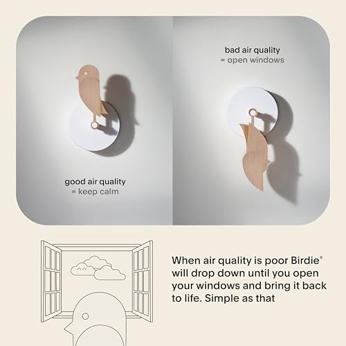 Birdie Design CO2-Monitor für den Innenbereich, Luftqualitätsmessgerät für Zuhause und Büro, fördert Geist (Wood)
