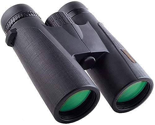 Jumelles alpinisme et tourisme de plein air 10x42 HD grand angle