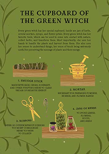 Backyard Witchcraft: The Complete Guide for the Green Witch, the Kitchen Witch, and the Hedge Witch - Image 7
