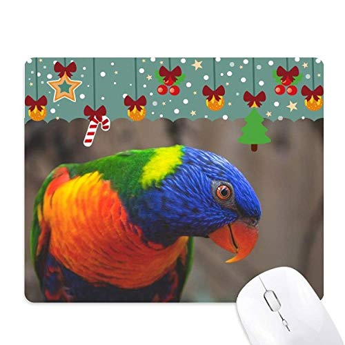 Tapis de souris de jeu bureau perroquet organisme animal