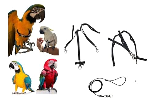 Élastique de fixation plongée CACATUA réglable pour sécuriser le matériel