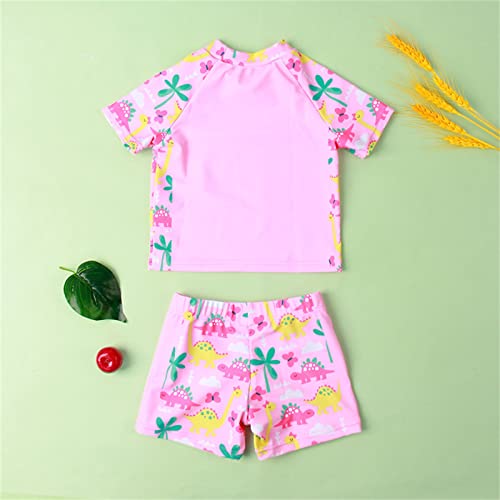 Baby UPF 50+ Rash Guard Set for Girls Short Sleeve Two Piece Swimsuit Bathing Suit Dinosaur Printed Beach Swimwear3