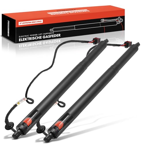 Image of Frankberg 2x Automatic Gas Strut Boot Tailgate Left Right Compatible with Discovery Sport L550 Discovery Sport Van L550 Replace# LR178872