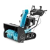 Leistungsstark – 4-Takt-Motor mit 302 cm³ Hubraum für 750 mm Durchfahrtsbreite
