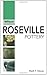 Roseville Pottery: Warman's Companion (Warman's Companion: Roseville Pottery)