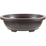 Diese Bonsaischale ist besonders für die Anzucht Ihrer Bonsai geeignet