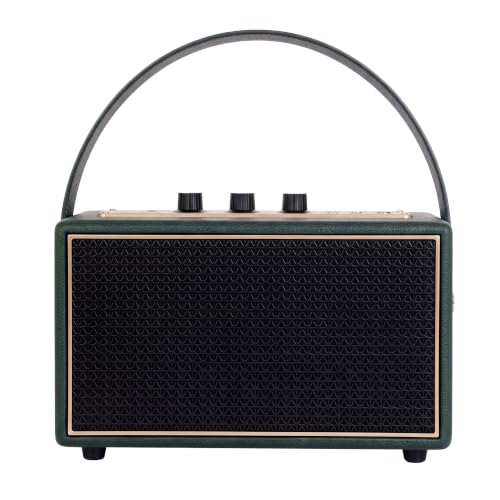 Schneider ENERZA HP60 Wireless Portable Home Audio Speaker | 60W ...