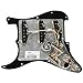Fender Pre-Wired Strat® Pickguard, Tex-Mex SSS, Black - 0992343506 Bundle w/ 12-Pack Guitar Pick and Liquid Audio Polishing Cloth