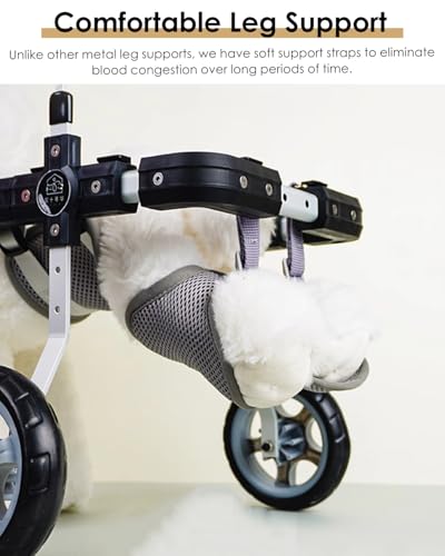 Fauteuil roulant pour chien à 4 roues pour offrir une seconde vie à votre ami