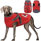 ✨✨[Vielfältige Größenauswahl]: Unser Hundemantel Mit Geschirr ist in sechs verschiedenen Größen erhältlich: S, M, L, XL, XXL, XXXL. Somit passt er nahezu allen Hunderassen, wie Beagle, Pudel, Bulldogge, Schlittenhund, Labrador, Golden Retriever und vielen mehr. Dieser Hundewintermantel eignet sich perfekt für tägliche Spaziergänge und sowohl für Indoor- als auch Outdoor-Aktivitäten in den kalten Herbst- und Wintermonaten.