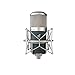 sE Electronics Gemini II Large-Diaphragm Condenser Microphone