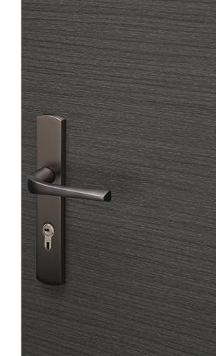 Bricard 8790T1 Pair of Handles Titanium zamack on Evidence Plate, Front Door - Image 3