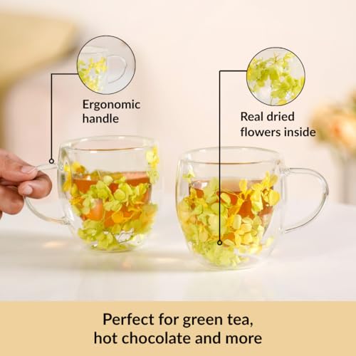 Image of Nestasia Double Wall Glass Mug with Dried Flowers Set of 2 (250ml Each) - Transparent Borosilicate Floral Glass Tea Cups | Lightweight & Durable Coffee Mugs - Perfect for Gifting (Yellow)