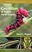 Caterpillars of Eastern North America: A Guide to Identification and Natural History (Princeton Field Guides)