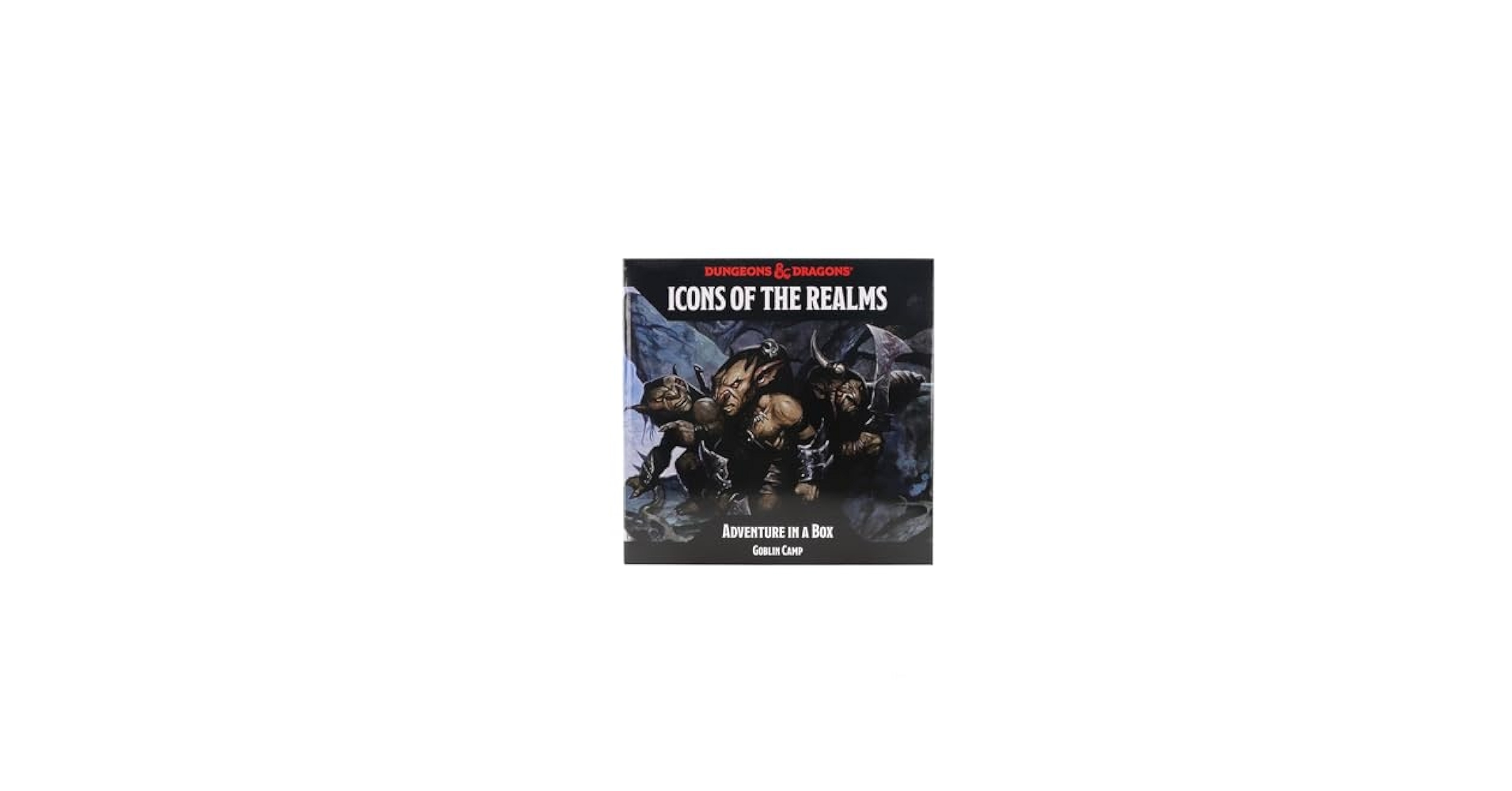Amazon.com: WizKids D&D Icons of The Realms: Adventure in a