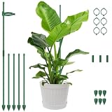 ANOMM 21 wsporników do roślin domowych, 30 cm podpórka na paliki z klipsami, regulowana podpórka monstera do kwiatów domowych, ogrodu, orchidei, roślin pnących, pomidorów (zielone)