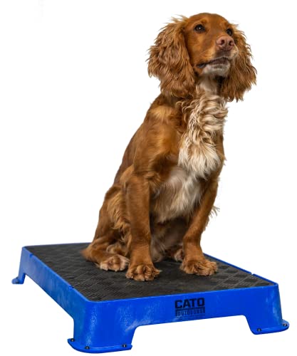 Cato Board - Dog Training Platform (Blue Rubber Surface)