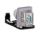 Rembam BL-FP230D Premium Quality Replacement Projector Lamp with Housing for Optoma HD20 HD200X TX612 TX615 EX612 EX615 HD2200 EH1020 HD180 DH1010 Projectors