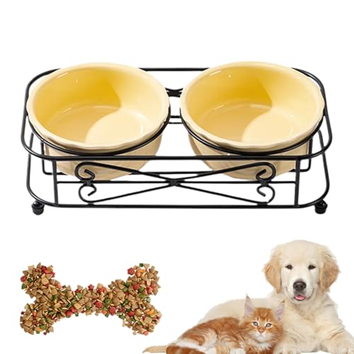 Wesleyyy Lpt[h{E | X^ht a{E,یtZ~bNLpaM - qL̉aƃAEghAsp^ybgpi