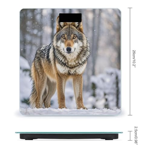 Báscula digital de baño con vidrio templado Wolf miniatura 2
