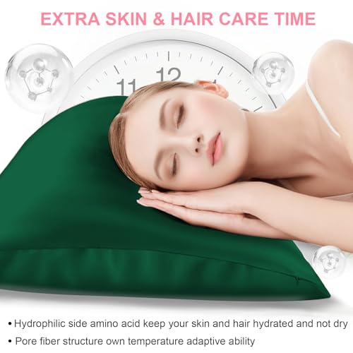Mulberry Silk Pillow Cases 2 Pack Standard Size 20x26 Inches with Hidden Zipper, Ultra Smooth and Soft Breathable Cooling Silk Satin Pillowcase Set of 2, Better for Hair and Skin, Gifts for Women Men