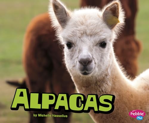 Alpacas (Farm Animals)