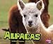Alpacas (Farm Animals)