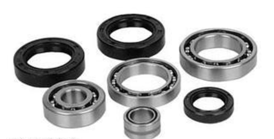 SpinCo Kawasaki KLF220 Bayou 220 ATV Rear Differential Bearing Kit 1988-2002; incudes All The Bearings and Seals Needed to Rebuild The Differential; (Note: The Image is just a Sample)