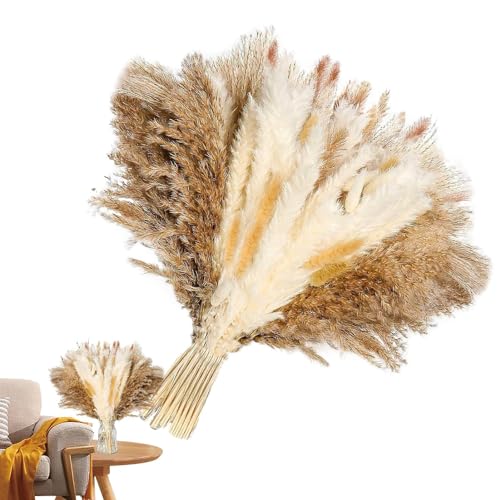 Plantas Secas para Decoração, Decoração de casa boho de grama de pampas fofa, Decorações de festa em