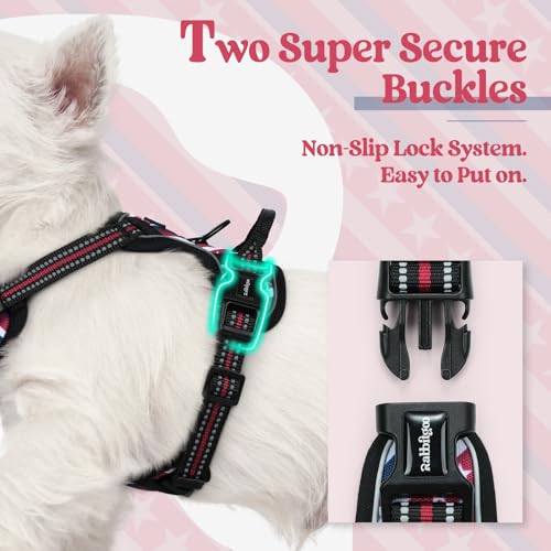 Image of rabbitgoo Dog Harness No Pull with 2 Leash Clips, Adjustable Soft Padded, Reflective Oxford No Choke Pet Vest with Easy Control Handle for Large Dogs, Red Stripe, XS