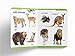 My First Padded Book of Animals: Early Learning Padded Board Books for Children