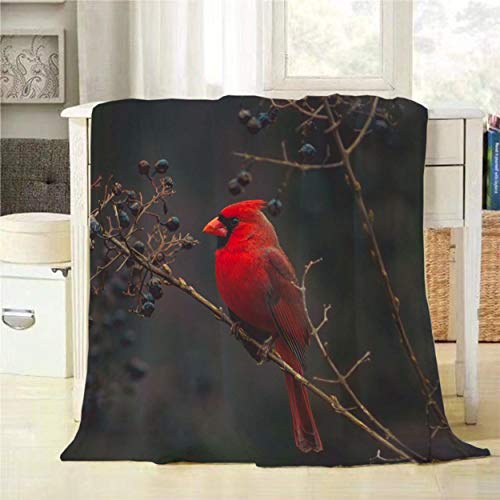 Mugod Red Bird Throw Blanket Northern Cardinal Bird On The Tree Branch Decorative Soft Warm Cozy Flannel Plush Throws Blankets For Baby Toddler Dog Cat 30 X 40 Inch #TOP11